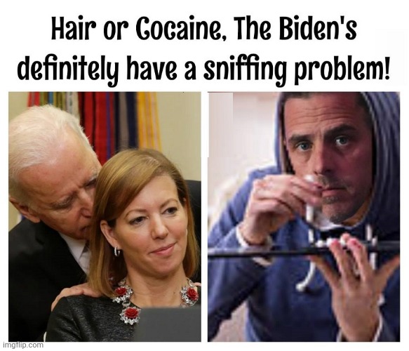 The Biden Sniff Test | image tagged in politics | made w/ Imgflip meme maker