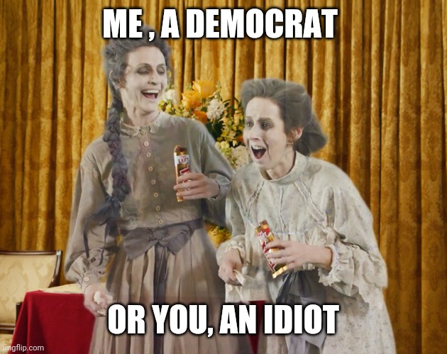 You a ghost | ME , A DEMOCRAT OR YOU, AN IDIOT | image tagged in you a ghost | made w/ Imgflip meme maker