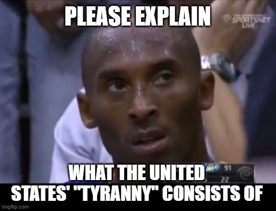 Questionable Strategy Kobe Meme | PLEASE EXPLAIN WHAT THE UNITED STATES' "TYRANNY" CONSISTS OF | image tagged in memes,questionable strategy kobe | made w/ Imgflip meme maker