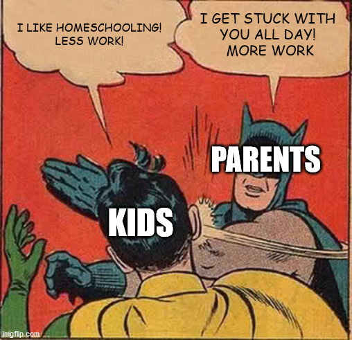 Truth | I LIKE HOMESCHOOLING!
LESS WORK! I GET STUCK WITH 
YOU ALL DAY! 
MORE WORK; PARENTS; KIDS | image tagged in memes,batman slapping robin | made w/ Imgflip meme maker