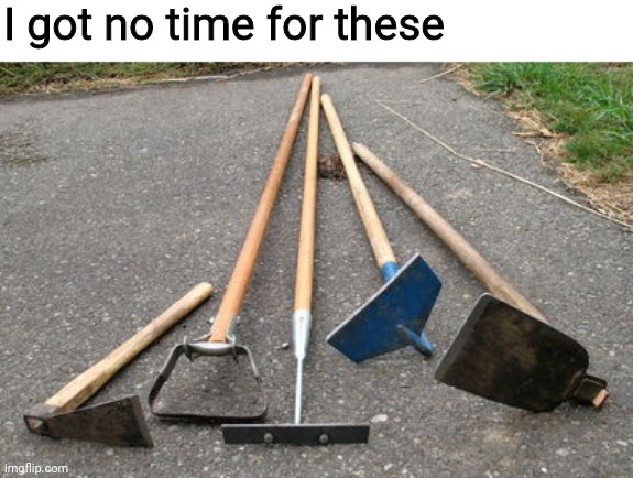 Please upvote this!!!!! | I got no time for these | image tagged in garden hoes,hoes,dumb,dark humor,upvotes,please help me | made w/ Imgflip meme maker