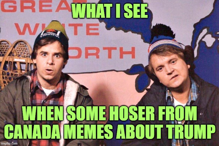 Just Drunks, Eskimos, Mounties and Hockey Players. | WHAT I SEE; WHEN SOME HOSER FROM CANADA MEMES ABOUT TRUMP | image tagged in canada | made w/ Imgflip meme maker