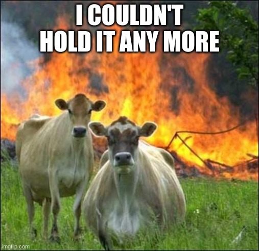 Evil Cows Meme | I COULDN'T HOLD IT ANY MORE | image tagged in memes,evil cows | made w/ Imgflip meme maker