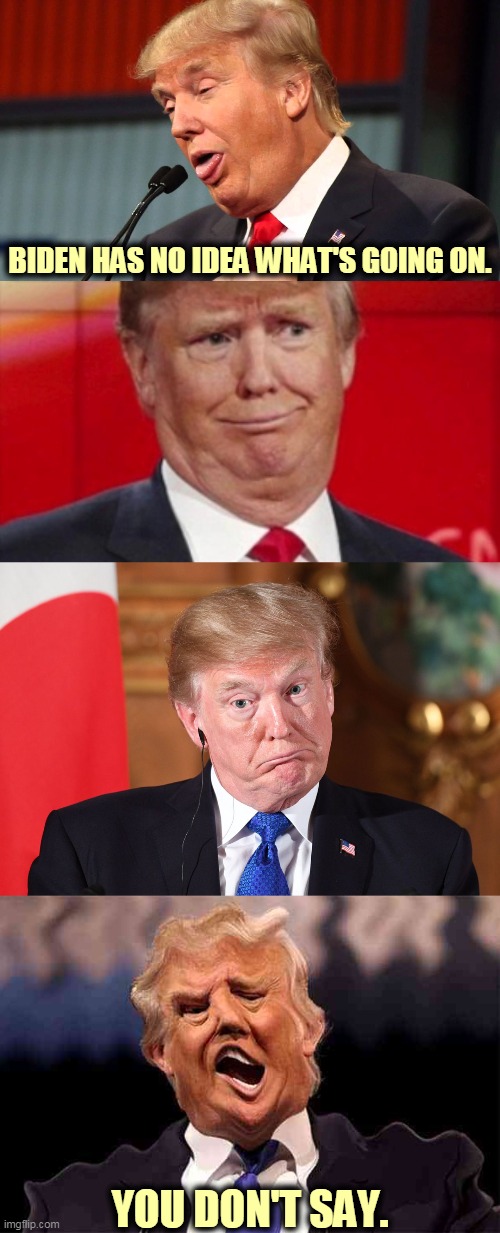 Trump 4-panel stupid | BIDEN HAS NO IDEA WHAT'S GOING ON. YOU DON'T SAY. | image tagged in trump 4-panel stupid,trump,stupid,dumb,asshole,jerk | made w/ Imgflip meme maker