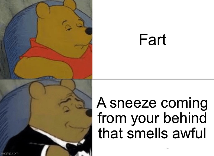 Tuxedo Winnie The Pooh | Fart; A sneeze coming from your behind that smells awful | image tagged in memes,tuxedo winnie the pooh | made w/ Imgflip meme maker
