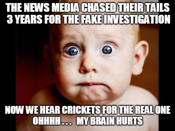 Obama Scandal | THE NEWS MEDIA CHASED THEIR TAILS
 3 YEARS FOR THE FAKE INVESTIGATION; NOW WE HEAR CRICKETS FOR THE REAL ONE
OHHHH . . .   MY BRAIN HURTS | image tagged in news media,chase tails,fake investigation,real investigation,cricketts | made w/ Imgflip meme maker