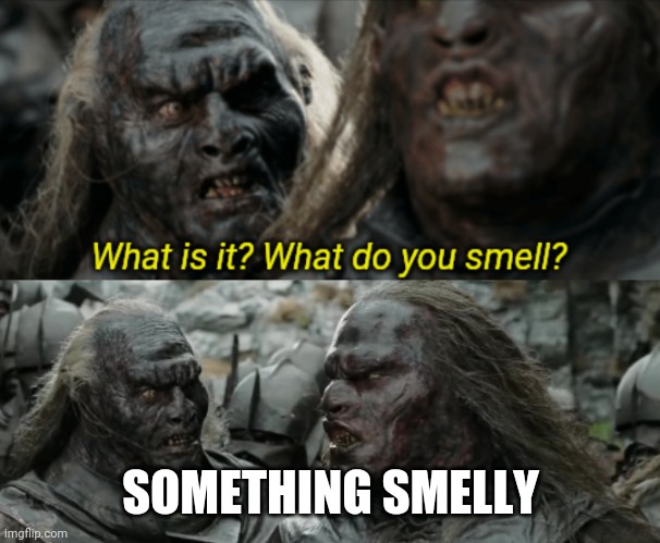 What do you smell? | SOMETHING SMELLY | image tagged in what do you smell,lord of the rings | made w/ Imgflip meme maker