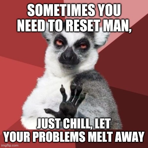 Put some Marley on your head and "go there" | SOMETIMES YOU NEED TO RESET MAN, JUST CHILL, LET YOUR PROBLEMS MELT AWAY | image tagged in memes,chill out lemur | made w/ Imgflip meme maker