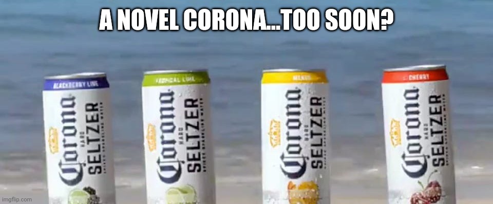 Novel Corona | A NOVEL CORONA...TOO SOON? | image tagged in novel corona | made w/ Imgflip meme maker