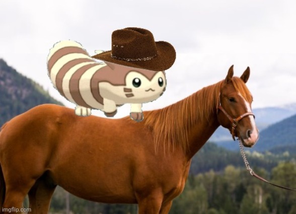 Y'all said you wanted more Furret | image tagged in pokemon,horse,memes | made w/ Imgflip meme maker