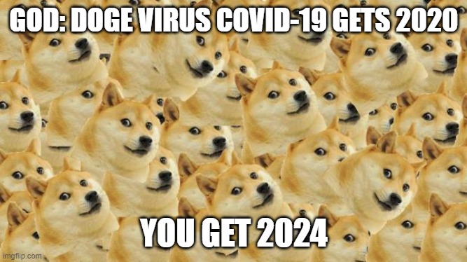 doge virus | GOD: DOGE VIRUS COVID-19 GETS 2020; YOU GET 2024 | image tagged in memes,multi doge | made w/ Imgflip meme maker