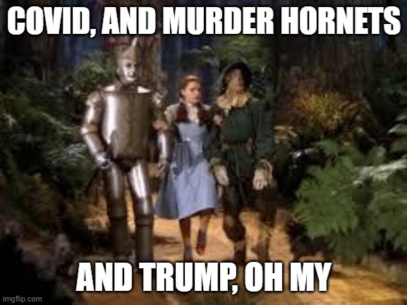 Wizard of Oz | COVID, AND MURDER HORNETS; AND TRUMP, OH MY | image tagged in wizard of oz | made w/ Imgflip meme maker