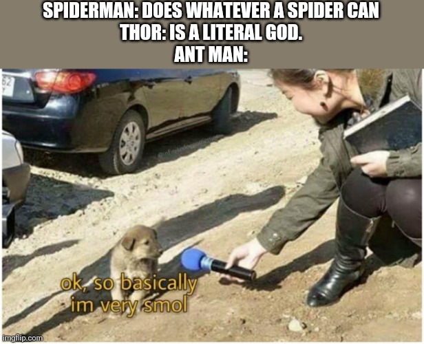 SPIDERMAN: DOES WHATEVER A SPIDER CAN
THOR: IS A LITERAL GOD.
ANT MAN: | made w/ Imgflip meme maker
