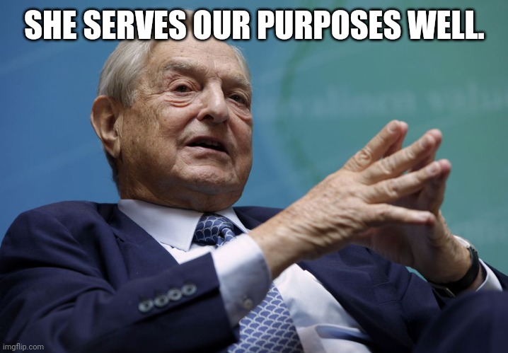 George Soros | SHE SERVES OUR PURPOSES WELL. | image tagged in george soros | made w/ Imgflip meme maker