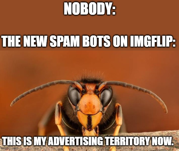 Spam bot invasion alert | NOBODY:; THE NEW SPAM BOTS ON IMGFLIP:; THIS IS MY ADVERTISING TERRITORY NOW. | image tagged in murder hornet,memes,spammers,bots,advertising,imgflip | made w/ Imgflip meme maker