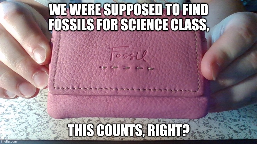 My first paleontologic find! | WE WERE SUPPOSED TO FIND FOSSILS FOR SCIENCE CLASS, THIS COUNTS, RIGHT? | image tagged in fossil,wallet,school | made w/ Imgflip meme maker