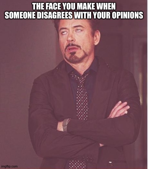 Face You Make Robert Downey Jr Meme | THE FACE YOU MAKE WHEN SOMEONE DISAGREES WITH YOUR OPINIONS | image tagged in memes,face you make robert downey jr | made w/ Imgflip meme maker