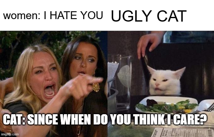 Woman Yelling At Cat | women: I HATE YOU; UGLY CAT; CAT: SINCE WHEN DO YOU THINK I CARE? | image tagged in memes,woman yelling at cat | made w/ Imgflip meme maker