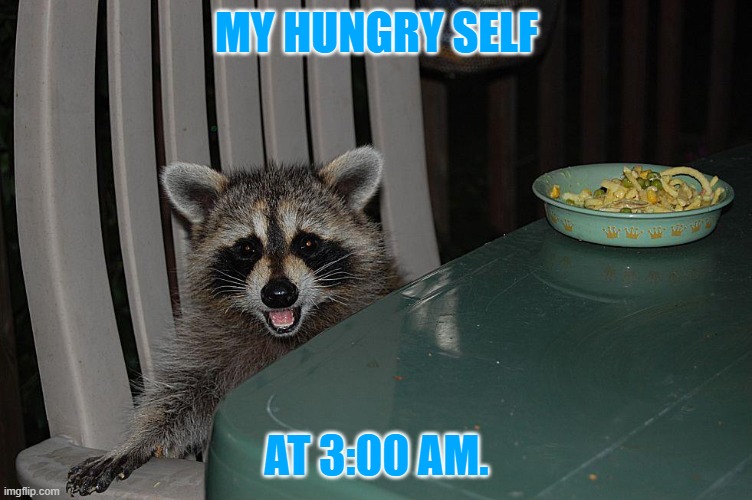 MY HUNGRY SELF; AT 3:00 AM. | image tagged in raccoon | made w/ Imgflip meme maker