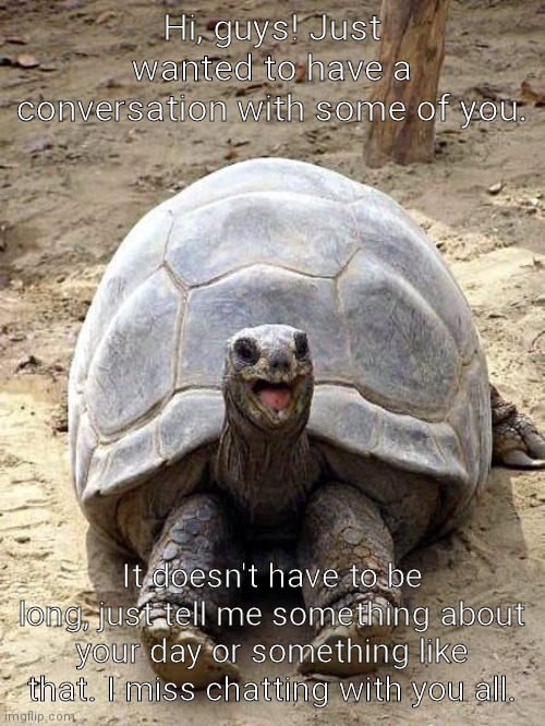 Smiling happy excited tortoise | Hi, guys! Just wanted to have a conversation with some of you. It doesn't have to be long, just tell me something about your day or something like that. I miss chatting with you all. | image tagged in smiling happy excited tortoise | made w/ Imgflip meme maker