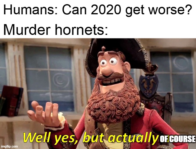 murder hornets... | Humans: Can 2020 get worse? Murder hornets:; OF COURSE | image tagged in memes,well yes but actually no | made w/ Imgflip meme maker