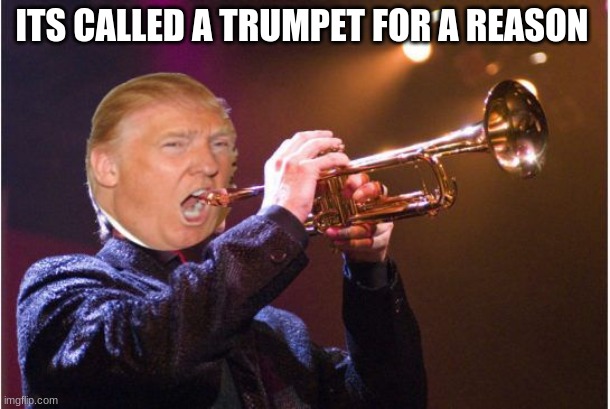 trumpet | ITS CALLED A TRUMPET FOR A REASON | image tagged in trumpet | made w/ Imgflip meme maker