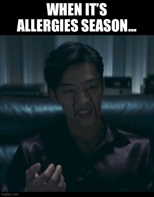 WHEN IT’S ALLERGIES SEASON... | image tagged in allergies,memes,relatable,kdrama,korean drama,movie | made w/ Imgflip meme maker