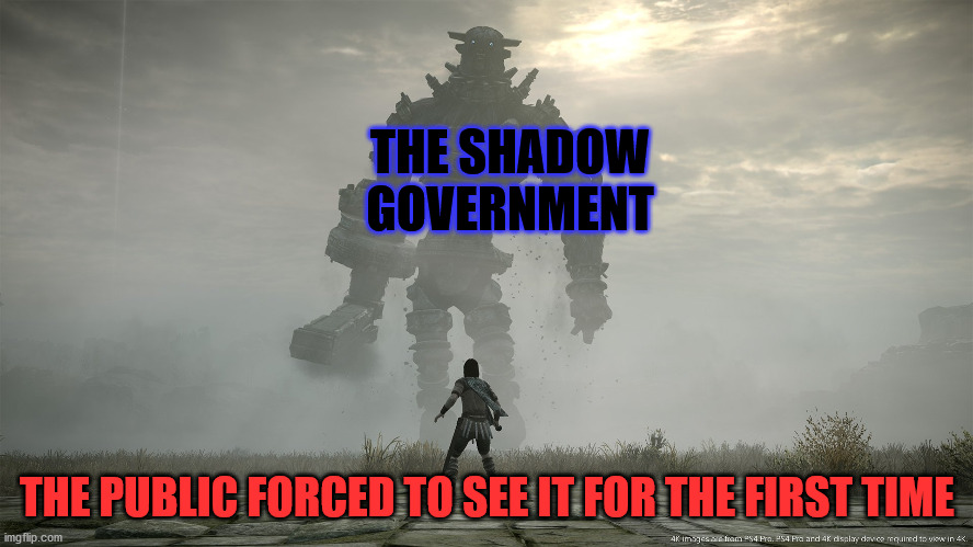 shadow of the colussus | THE SHADOW GOVERNMENT; THE PUBLIC FORCED TO SEE IT FOR THE FIRST TIME | image tagged in shadow of the colussus | made w/ Imgflip meme maker