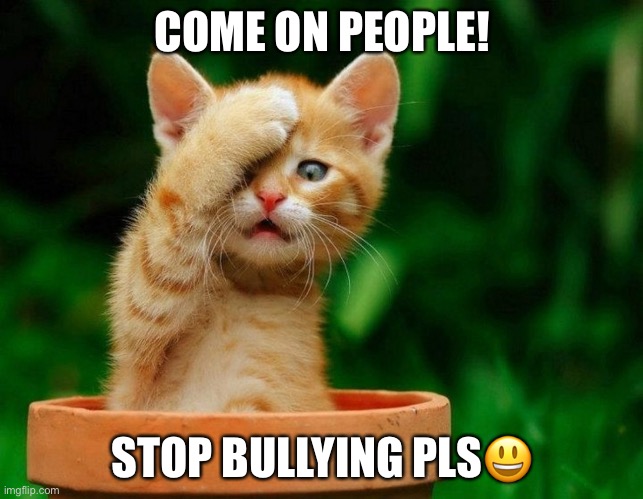 Come on | COME ON PEOPLE! STOP BULLYING PLS😃 | image tagged in come on | made w/ Imgflip meme maker