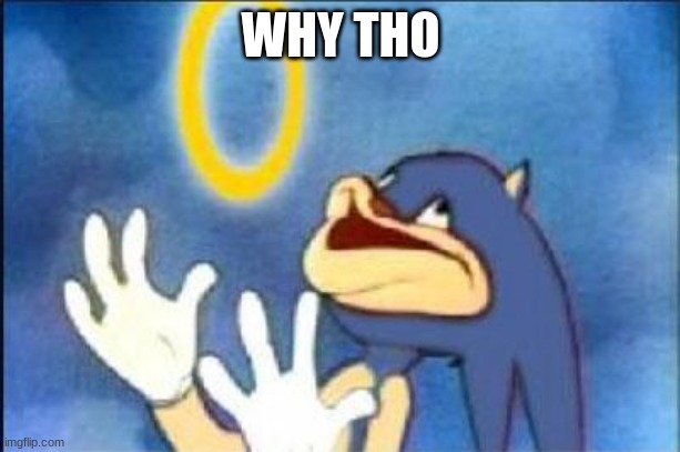 Sonic derp | WHY THO | image tagged in sonic derp | made w/ Imgflip meme maker