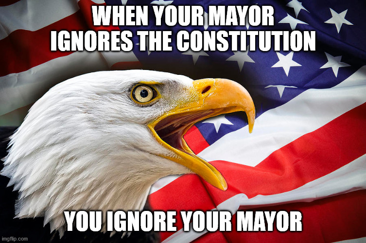 bald eagle us flag | WHEN YOUR MAYOR IGNORES THE CONSTITUTION; YOU IGNORE YOUR MAYOR | image tagged in bald eagle us flag | made w/ Imgflip meme maker