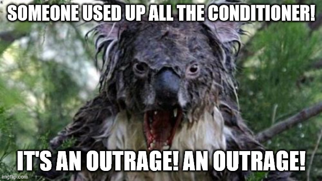 Angry Koala | SOMEONE USED UP ALL THE CONDITIONER! IT'S AN OUTRAGE! AN OUTRAGE! | image tagged in memes,angry koala | made w/ Imgflip meme maker