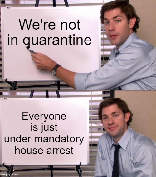 i mean it's true jim | We're not in quarantine; Everyone is just under mandatory house arrest | image tagged in jim halpert explains | made w/ Imgflip meme maker