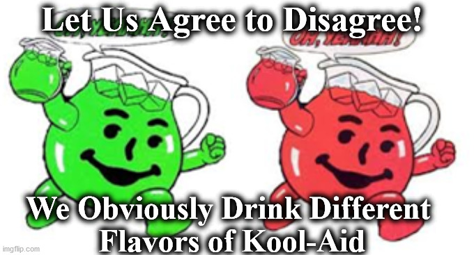 kooolaid | Let Us Agree to Disagree! We Obviously Drink Different 
Flavors of Kool-Aid | image tagged in kooolaid | made w/ Imgflip meme maker