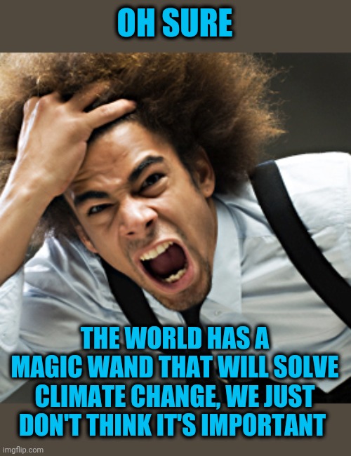Rage | OH SURE THE WORLD HAS A MAGIC WAND THAT WILL SOLVE CLIMATE CHANGE, WE JUST DON'T THINK IT'S IMPORTANT | image tagged in rage | made w/ Imgflip meme maker