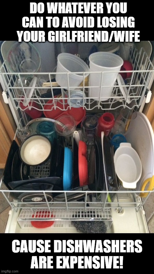 Costly Mistakes | DO WHATEVER YOU CAN TO AVOID LOSING YOUR GIRLFRIEND/WIFE; CAUSE DISHWASHERS ARE EXPENSIVE! | image tagged in dishwasher | made w/ Imgflip meme maker