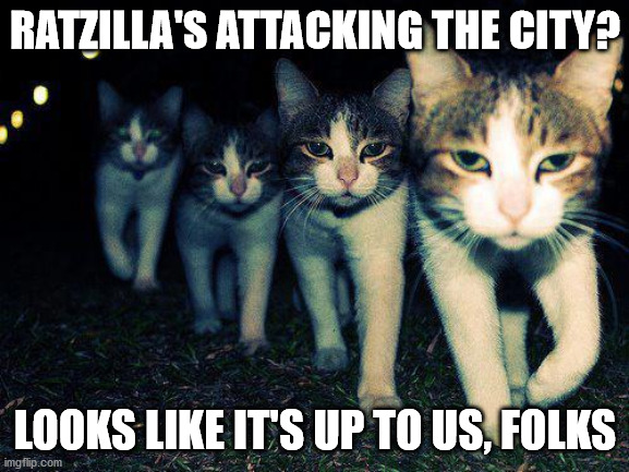 Wrong Neighboorhood Cats | RATZILLA'S ATTACKING THE CITY? LOOKS LIKE IT'S UP TO US, FOLKS | image tagged in memes,wrong neighboorhood cats | made w/ Imgflip meme maker