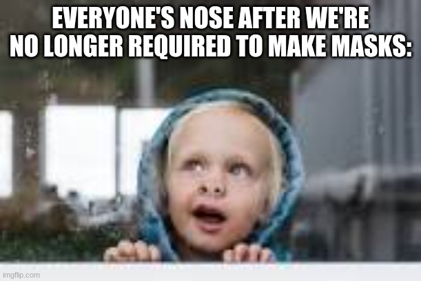 Squished nose | EVERYONE'S NOSE AFTER WE'RE NO LONGER REQUIRED TO MAKE MASKS: | image tagged in squished nose,so true memes,meme | made w/ Imgflip meme maker