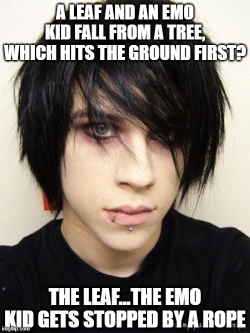 Fall Challenge | A LEAF AND AN EMO KID FALL FROM A TREE, WHICH HITS THE GROUND FIRST? THE LEAF...THE EMO KID GETS STOPPED BY A ROPE | image tagged in emo kid | made w/ Imgflip meme maker