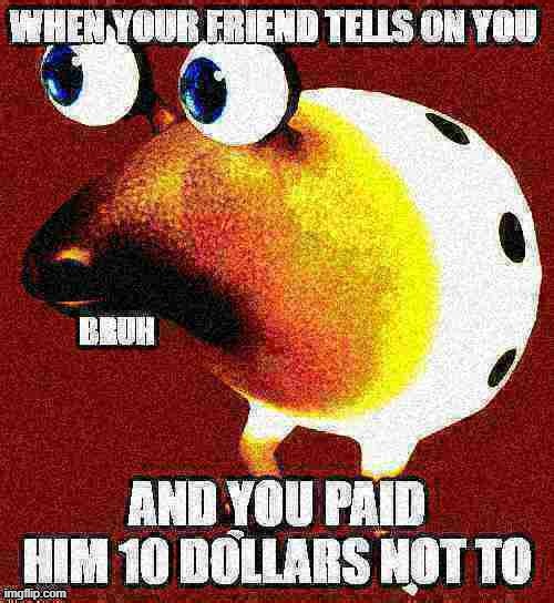 BRUH | image tagged in bruh,why,money | made w/ Imgflip meme maker
