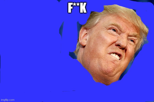 Donald Trump | F**K | image tagged in donald trump | made w/ Imgflip meme maker