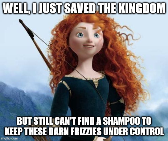 Merida Brave Meme | WELL, I JUST SAVED THE KINGDOM; BUT STILL CAN'T FIND A SHAMPOO TO KEEP THESE DARN FRIZZIES UNDER CONTROL | image tagged in memes,merida brave | made w/ Imgflip meme maker