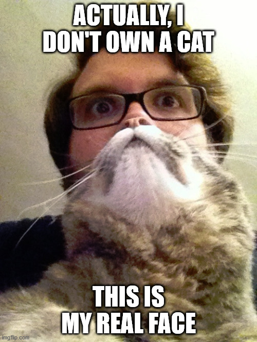 Surprised CatMan Meme |  ACTUALLY, I DON'T OWN A CAT; THIS IS MY REAL FACE | image tagged in memes,surprised catman | made w/ Imgflip meme maker