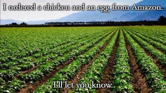 Farmer |  I ordered a chicken and an egg from Amazon. I'll let you know. | image tagged in farmer | made w/ Imgflip meme maker