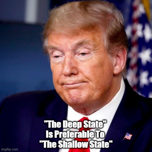 "The Deep State" 
Is Preferable To 
"The Shallow State" | made w/ Imgflip meme maker