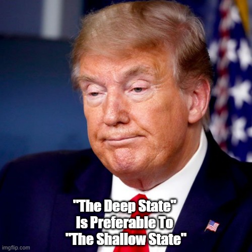  "The Deep State" 
Is Preferable To 
"The Shallow State" | made w/ Imgflip meme maker