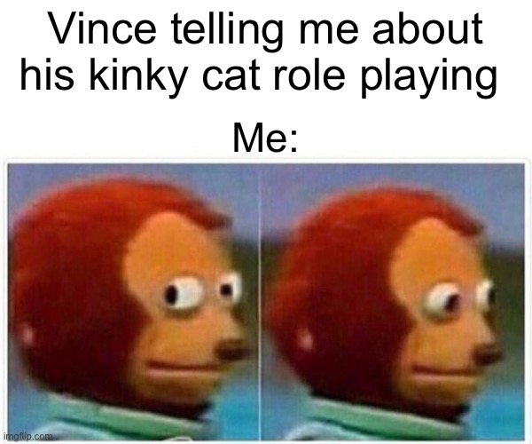 Monkey Puppet Meme | Vince telling me about his kinky cat role playing Me: | image tagged in memes,monkey puppet | made w/ Imgflip meme maker