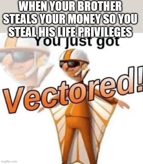 You just got vectored | WHEN YOUR BROTHER STEALS YOUR MONEY SO YOU STEAL HIS LIFE PRIVILEGES | image tagged in you just got vectored | made w/ Imgflip meme maker