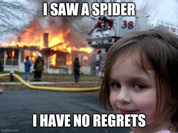 Disaster Girl | I SAW A SPIDER; I HAVE NO REGRETS | image tagged in memes,disaster girl | made w/ Imgflip meme maker