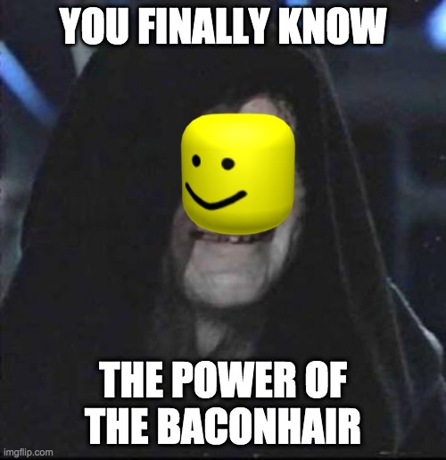 Sidious Error | YOU FINALLY KNOW; THE POWER OF THE BACONHAIR | image tagged in memes,sidious error | made w/ Imgflip meme maker